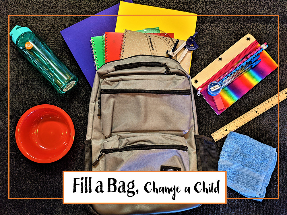 Grade 1-7 School Bags